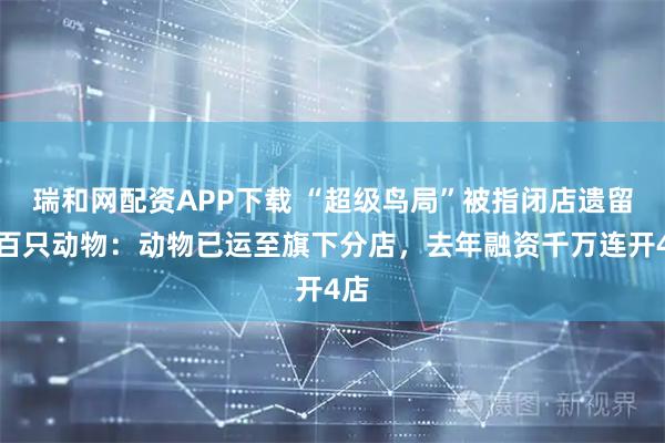 瑞和网配资APP下载 “超级鸟局”被指闭店遗留上百只动物：动物已运至旗下分店，去年融资千万连开4店