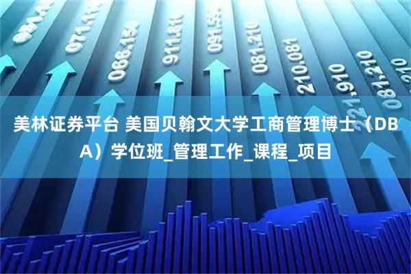 美林证券平台 美国贝翰文大学工商管理博士(DBA)学位班_管理工作_课程_项目