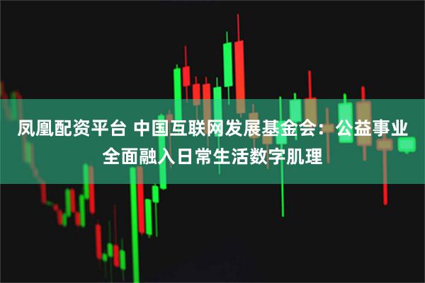 凤凰配资平台 中国互联网发展基金会：公益事业全面融入日常生活数字肌理