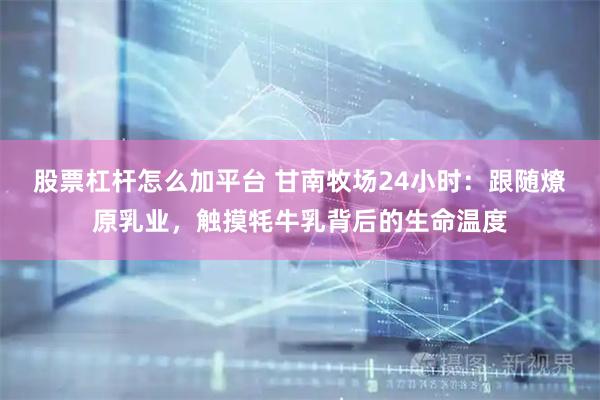 股票杠杆怎么加平台 甘南牧场24小时：跟随燎原乳业，触摸牦牛乳背后的生命温度