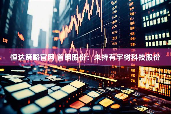 恒达策略官网 首钢股份：未持有宇树科技股份
