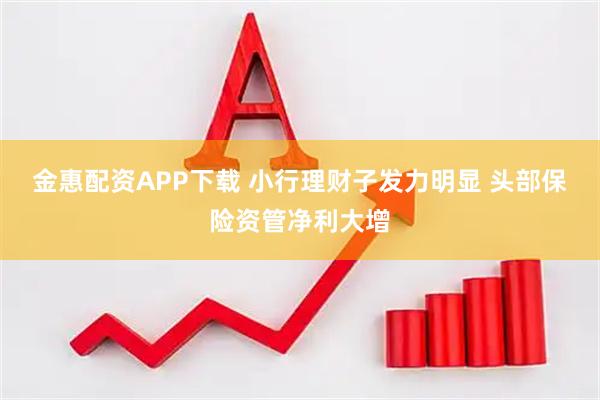 金惠配资APP下载 小行理财子发力明显 头部保险资管净利大增